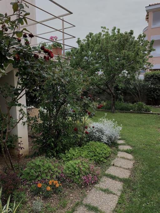 Sunny Grandma's Garden *